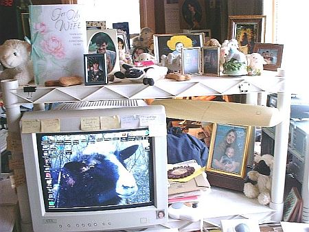 Niki's desktop was her centerplace for objects of affection