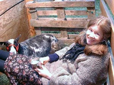 Niki and Scarlet in 2004 during a break from scissor-shearing