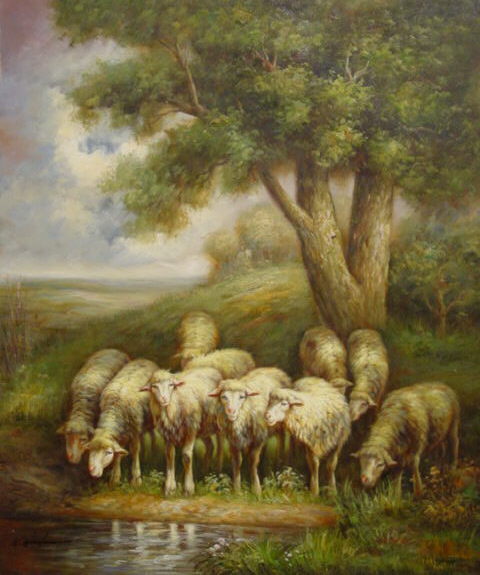 10 Ewes By Water1