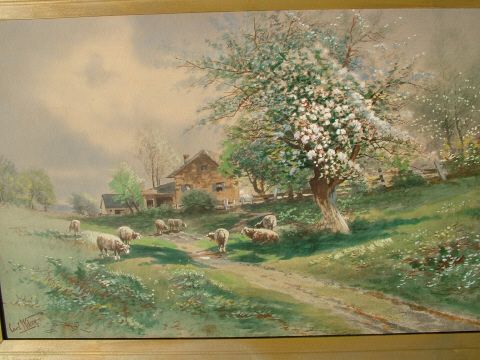 10 Sheep in Spring