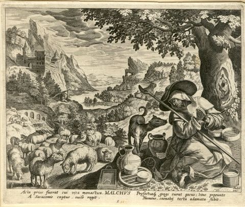 1594 Flemish Sheep Flock