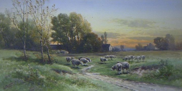 15 Pastoral Ewes