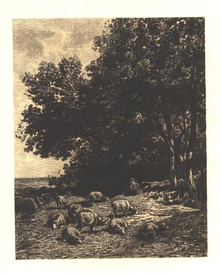 1800S Sheep Etching
