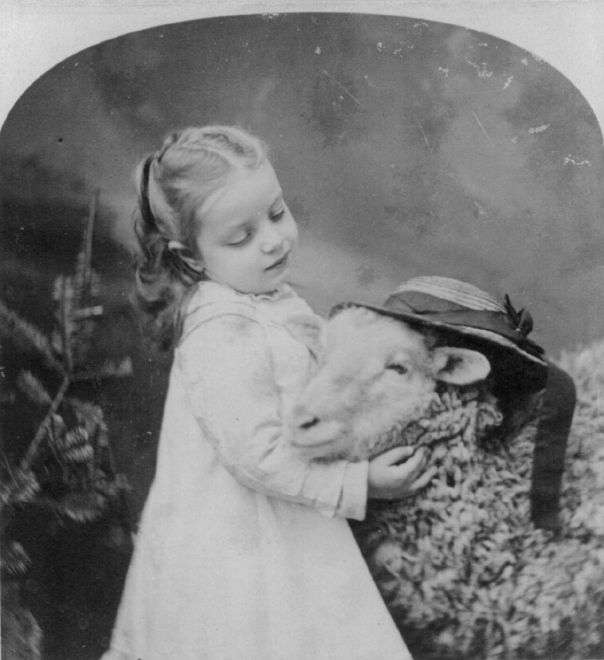 1877 Photo of Small Girl and a Sheep with a Hat