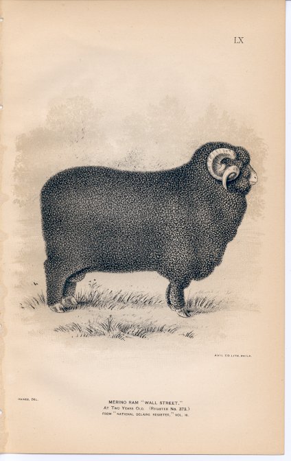 1892 Merino Ram Wall Street