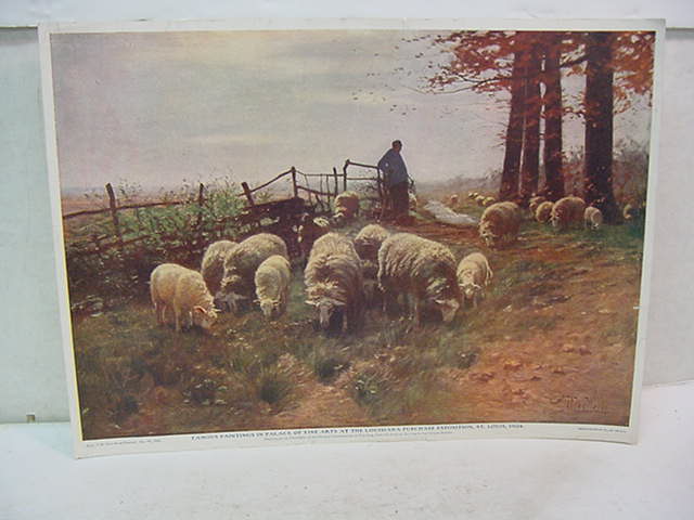 1904 Wf Print Sheep