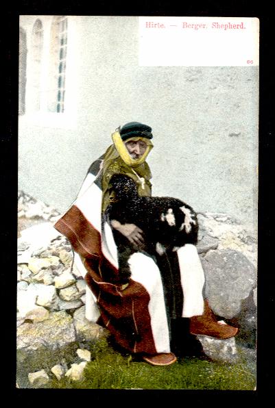1907 to 1915 Postcard Is Captioned Hirte Berger Shepherd 15499