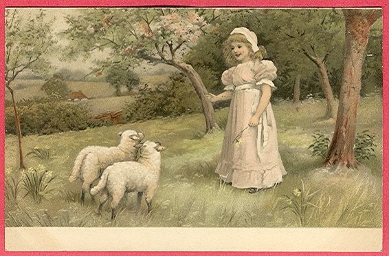 1908 Young Norwegian Girl Sheep Lambs Stavanger