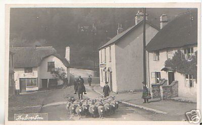 1930 Sheep on Road Dulverton Somerset UK