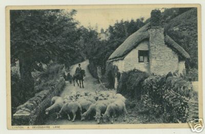1952 Postcard Lynton Devon Thatched Cottage Sheep