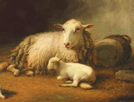 1 Ewe 1 Lamb