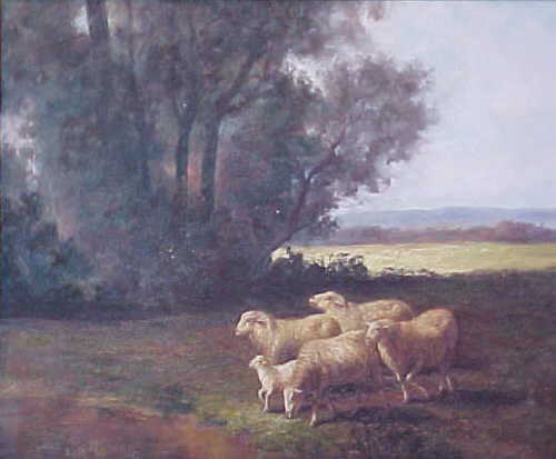 1 Lamb 4 Ewes