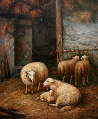 1 Lamb 4 Ewes A