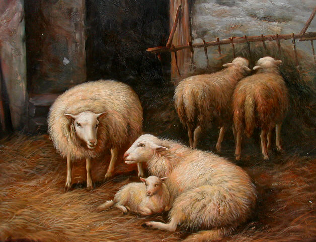1 Lamb 4 Ewes C
