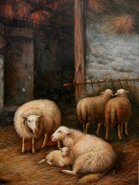 1 Lamb 4 Ewes D