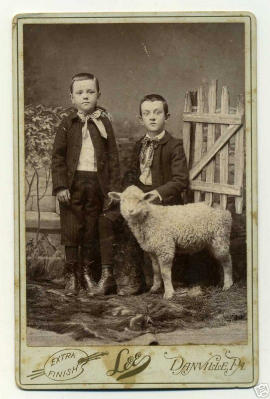 2 Boys and a Sheep