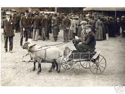 2 Boys in a Two Sheep Cart Ohio 1907