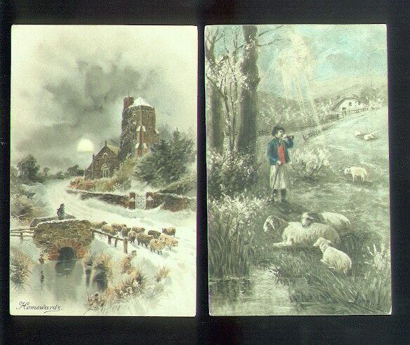 2 Cards of Sheep in the Countryside