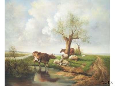 2 Cows and 7 Sheep at Water