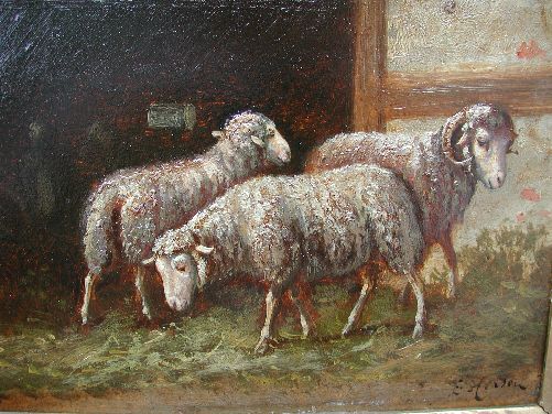 2 Ewes 1 Ram