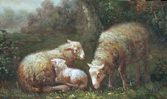 2 Ewes and 1 Lamb3