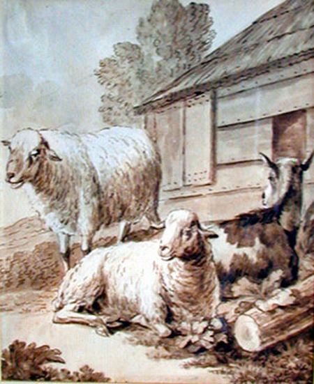 2 Ewes and a Goat