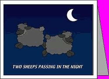 2 Sheeps Passing in the Night