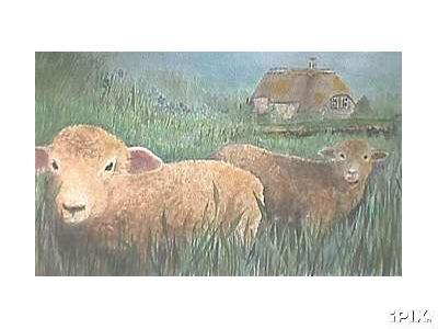 2 Watercolor Sheep