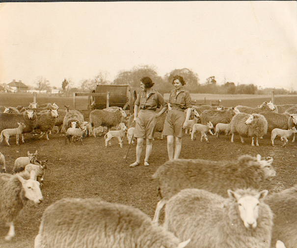 2 Women with Sheep in Spring