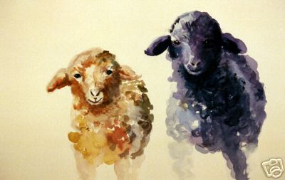 2 Wool Sheep Lambs