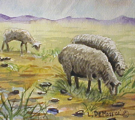 3 a Sheep Grazing