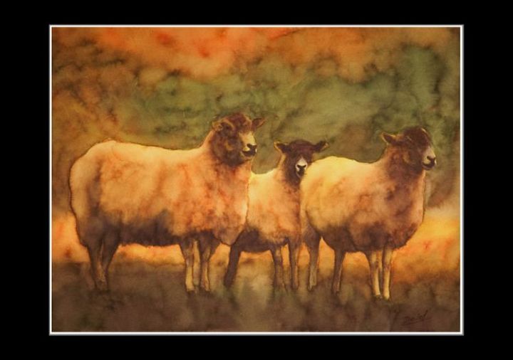 3 Beautiful Watercolor Sheep