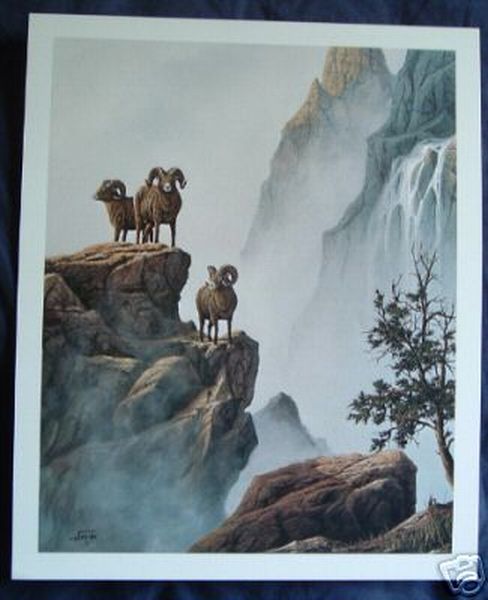 3 Bighorn Rams