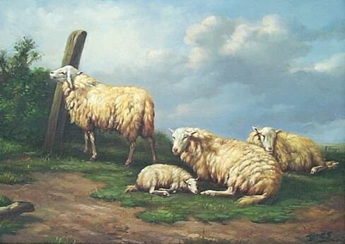 3 Ewes 1 Lamb1