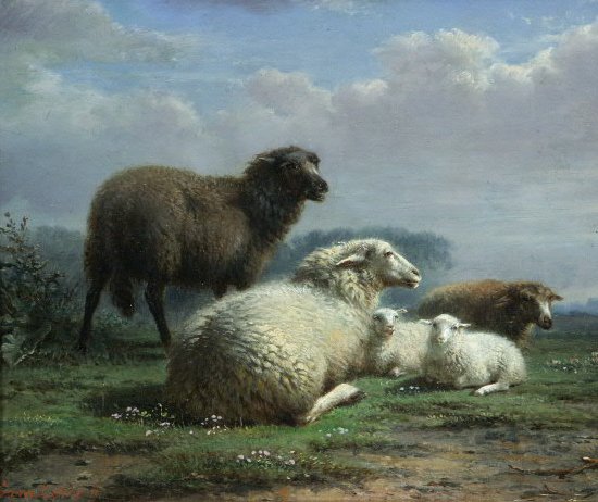 3 Ewes 2 Lambs