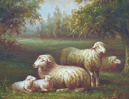 3 Ewes 2 Lambs on Pasture