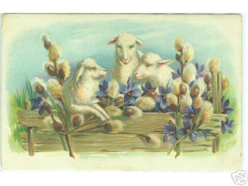 3 Ewes with Pussy Willows