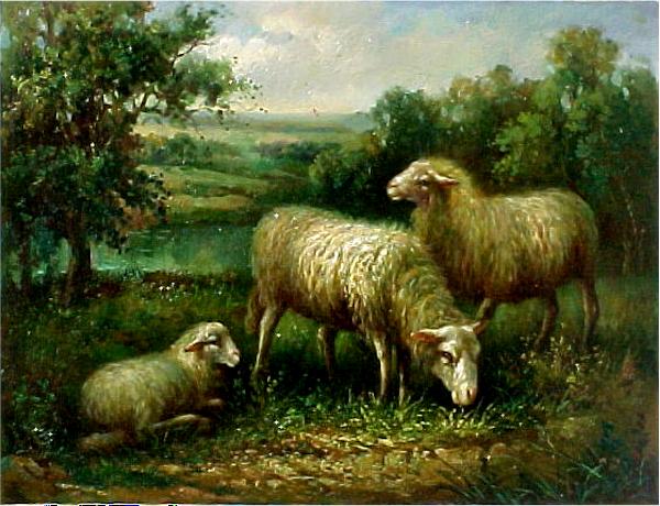 3 Generation Ewes