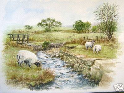 3 Sheep By a Creek