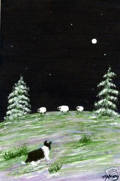 3 Sheep By Moonlight