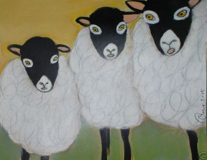 3 Sheep Drawing