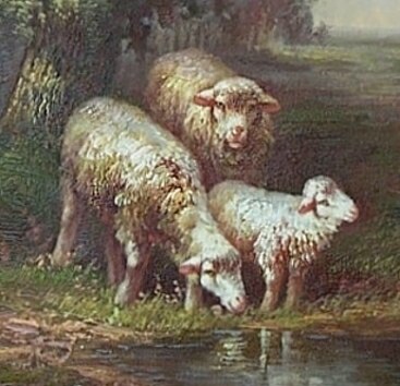 3 Sheep Drinking