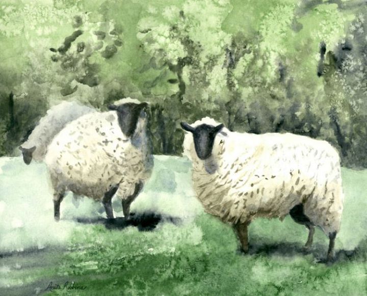 3 Sheep Wc