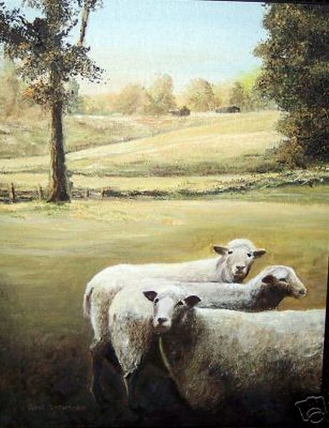 3 White Ewes on Pasture