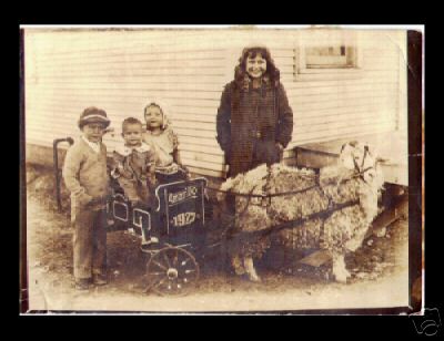 4 Children in a Sheep Drawn Cart Amarillo Tx1927