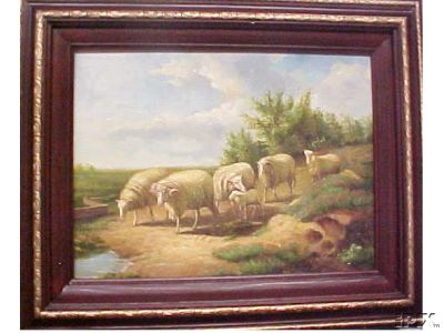 4 Ewes 1 Ram 1 Lamb