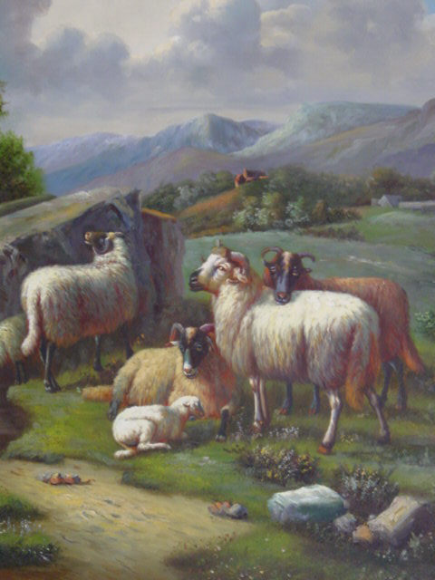 4 Sheep 1 Lamb1