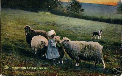 4 Sheep and a Little Girl