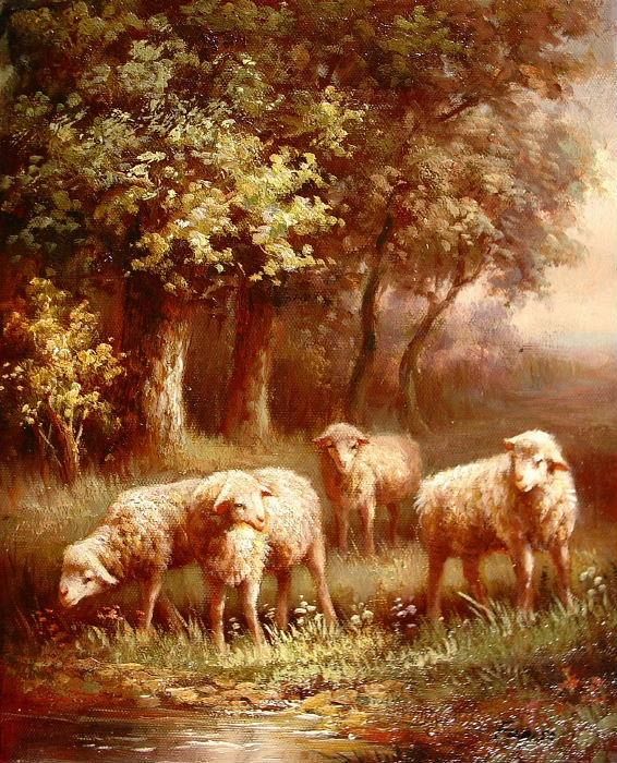 4 Sheep at the Creek