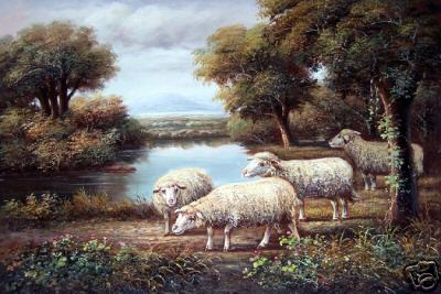 4 Sheep By Water